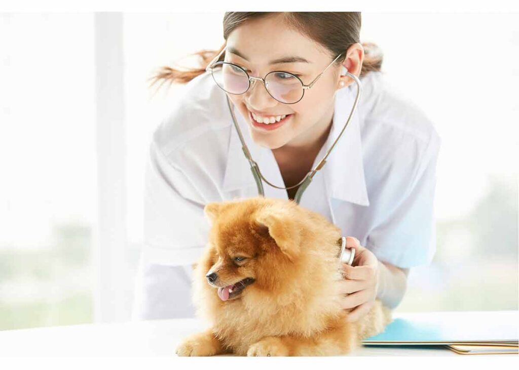 犬にワクチン接種は必要？値段や副作用などのお悩みを解決します！